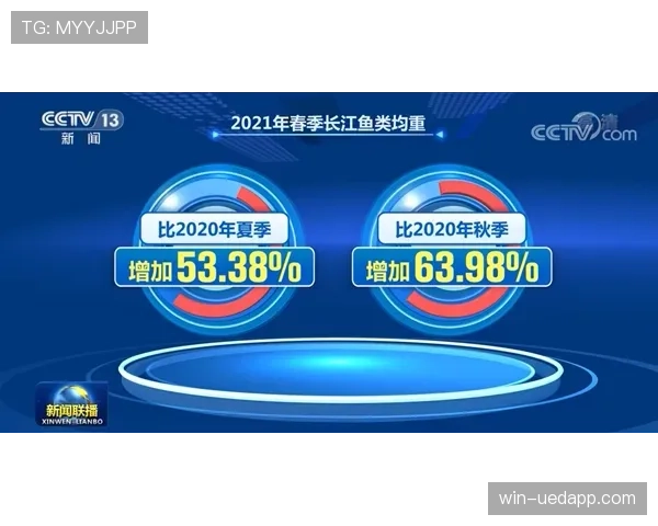 恢复比赛规则详解：裁判何时判定比赛继续与暂停取消条件